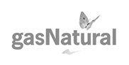 07_gasnatural