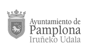 18_ayuntamiento_pamplona